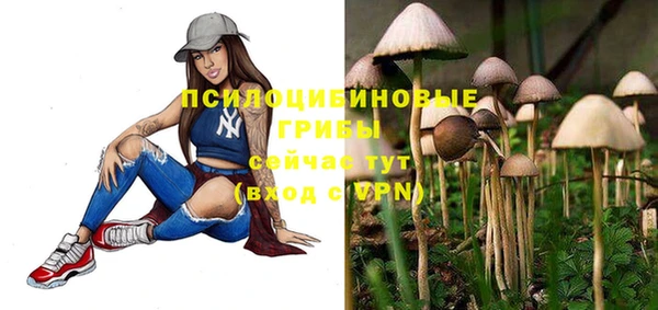 стаф Алексеевка